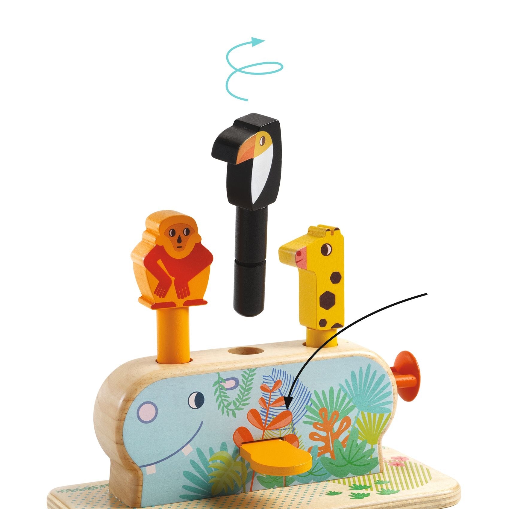 Multi-Activity Pop-Up