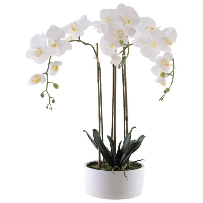 REAL TOUCH WHITE ORCHID IN POT 60