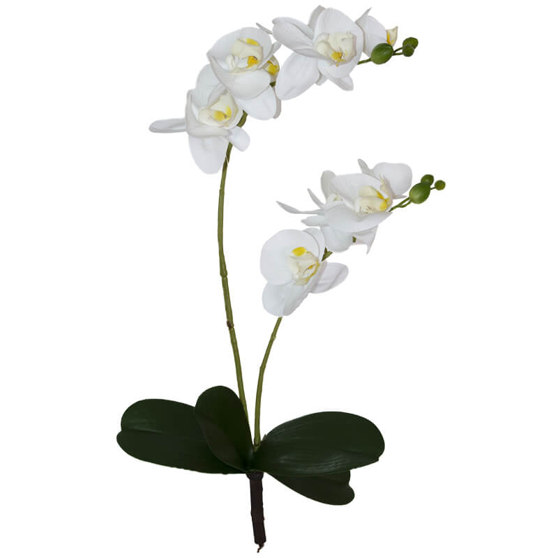 WHITE REAL TOUCH ORCHID SPRAY 48C