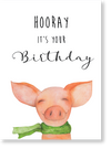 PAUSE Greeting Cards “Hooray it’s your birthday”