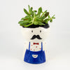 Uncle Piet Root