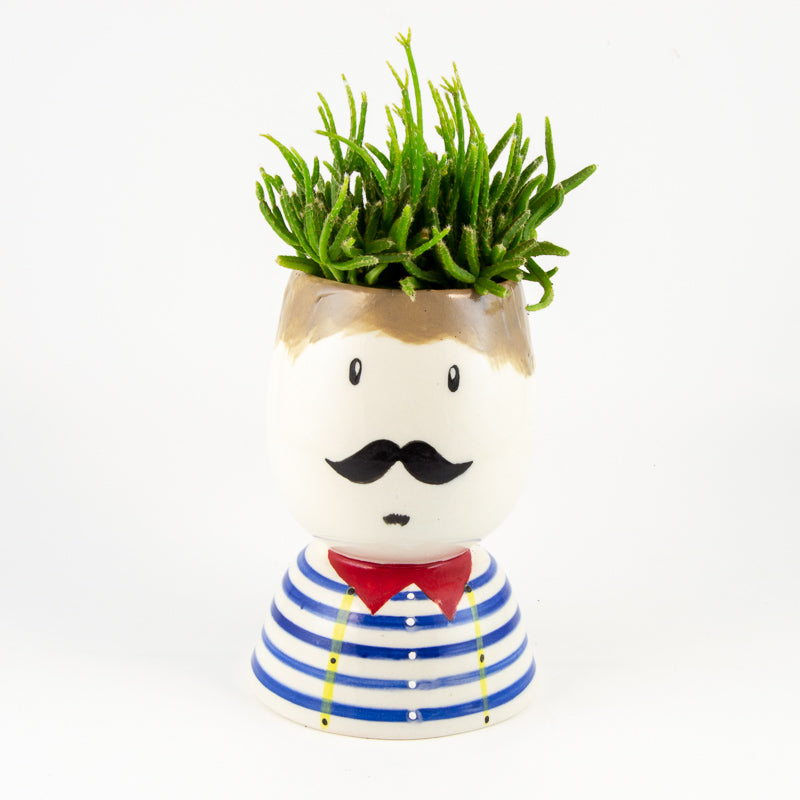 Mr Bob Root