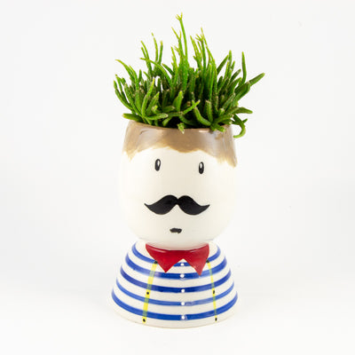 Mr Bob Root