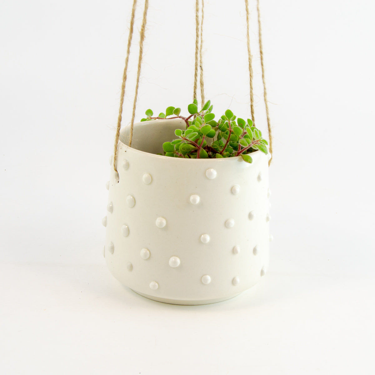 Small Hanging Pot