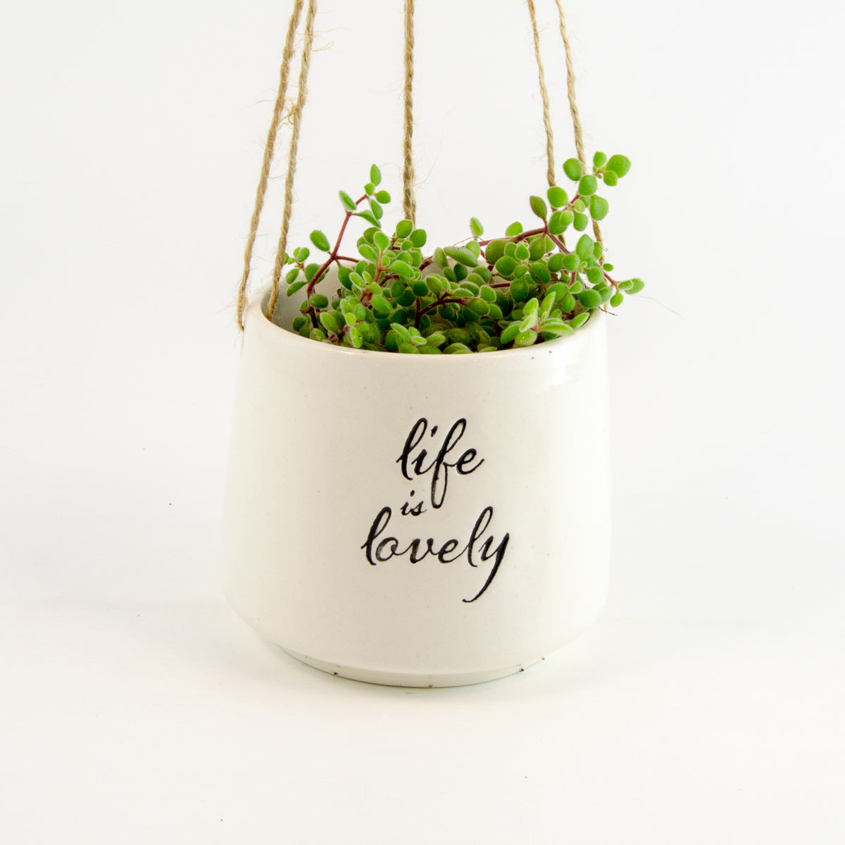 Small Hanging Pot
