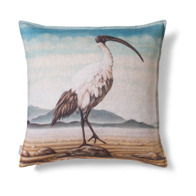 Sacred Ibis - 60 x 60cm
