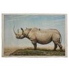 Rhino (200 x 140 cm)