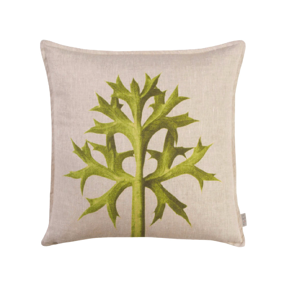 Thistle Sulphur - 60 x 60cm