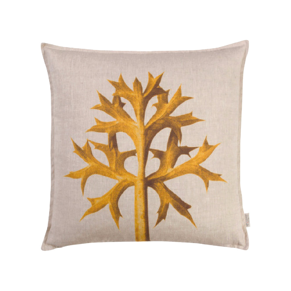 Thistle Solar - 60 x 60cm