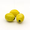 Trio of Lemons
