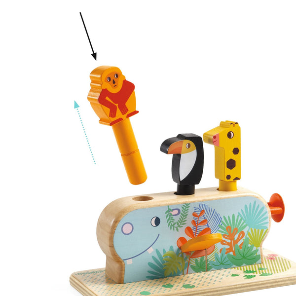 Multi-Activity Pop-Up