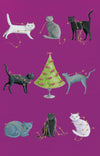 8 Cats Gold Foil Card Pack