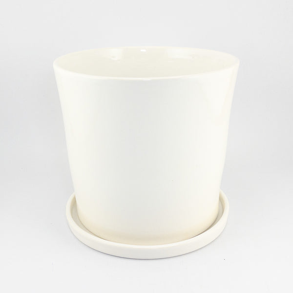 Tall Orchid Pot (with tray)