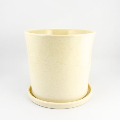 Tall Orchid Pot (with tray)