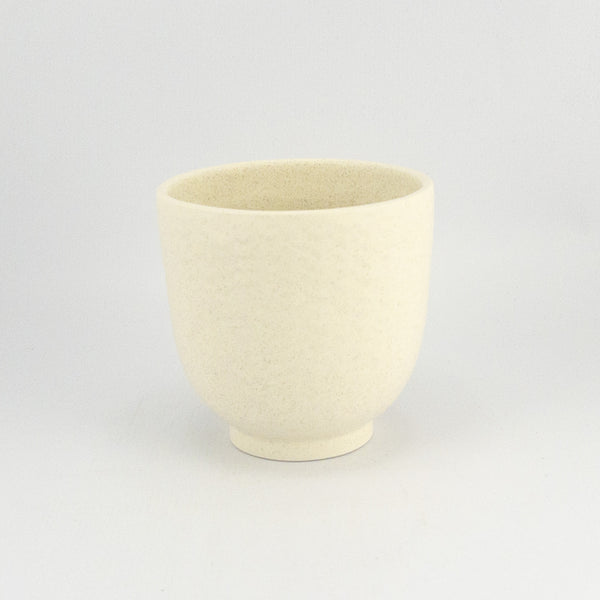 Succulent Pot
