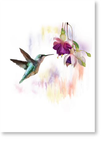 PAUSE Greeting Cards - Humming Bird with Flower