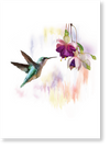 PAUSE Greeting Cards - Humming Bird with Flower