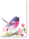 PAUSE Greeting Cards - Pink Bird