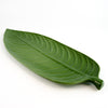 Leaf Platter - Fynbos
