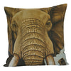 Elephant Bull - 60 x 60cm