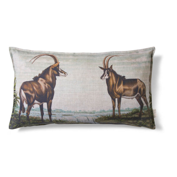 Sable Antelope - 40 x 70cm