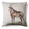 Single Sable Antelope (right) - 60 x 60cm