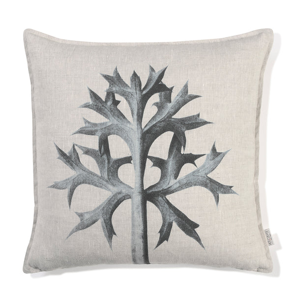 Thistle Natural - 60 x 60cm