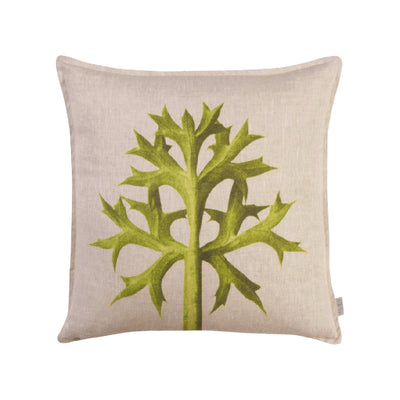 Thistle Sulphur - 60 x 60cm