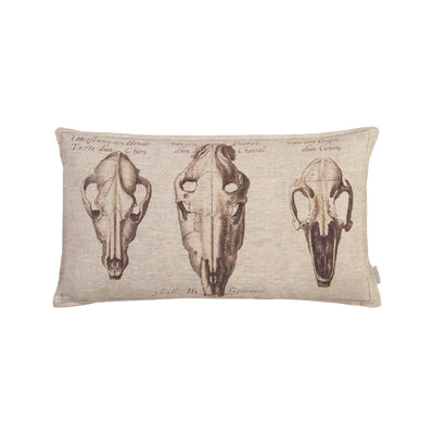 Skulls - 40 x 70cm