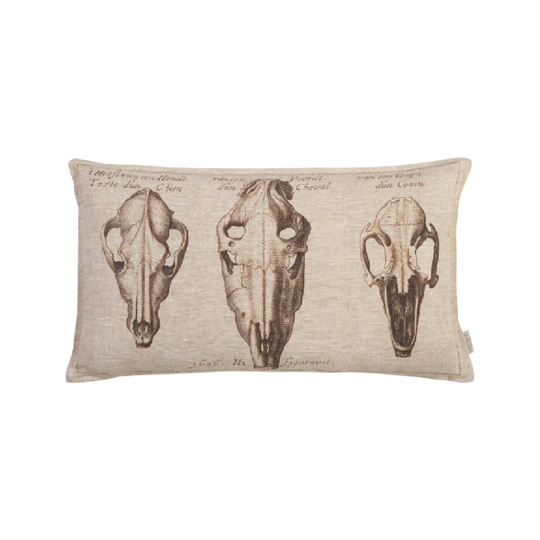 Skulls - 40 x 70cm